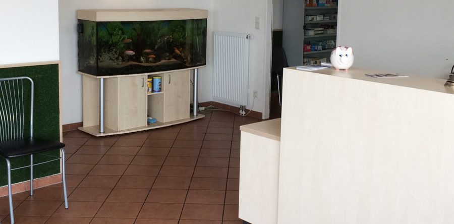 Empfang & Wartezimmer